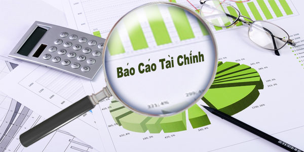 The Consolidated Financial Statement for the Accounting Period from 1 January to 30 June 2019 has been reviewed.